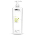 Шампунь для решения проблем жирной кожи головы MORPHOSIS BALANCE SHAMPOO, 1000 мл купить в Минске. Доставка по Беларуси
