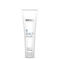 Скраб для очищения кожи головы MORPHOSIS SCALP EXFOLIATE, 150 мл купить в Минске. Доставка по Беларуси