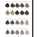 Перманентный профессиональный стойкий краситель для волос PERICHE PERSONAL 95 тонов, 100 мл купить в Минске. Доставка по Беларуси