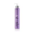 Маска тонирующая с фиолетовым пигментом / Abh/ silver mask no-yellow 250 ml купить в Минске. Доставка по Беларуси