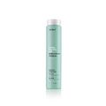Шампунь детокс / Abh/ detox refresh shampoo 250 ml купить в Минске. Доставка по Беларуси