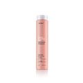 Шампунь сохранение цвета окрашенных волос / Abh/ color care shampoo 250 ml купить в Минске. Доставка по Беларуси