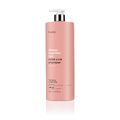 Шампунь сохранение цвета окрашенных волос / Abh/ color care shampoo 1000 ml купить в Минске. Доставка по Беларуси